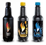 burn-cz-energy-pets-500ml